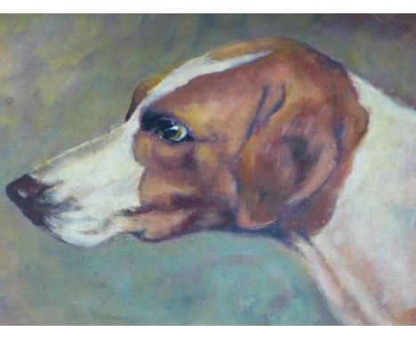 20th.C.ENGLISH SCHOOL.   PORTRAIT OF A FOXHOUND, OIL ON BOARD.    20 x 30cms.