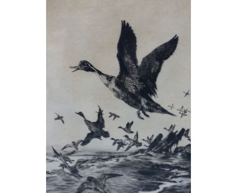 WINIFRED AUSTEN  (1876-1964).  ARR.  TAKING FLIGHT, PENCIL SIGNED ETCHING  24 x 19.5cms.