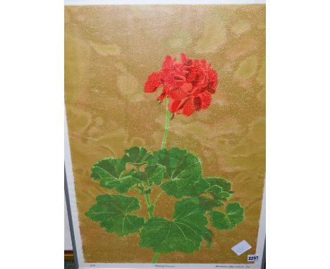 DUNCAN OPPENHEIM (1904-2003).  ARR.  PELARGONIUM, PENCIL SIGNED LIMITED EDITION COLOUR PRINT, 69 x 49cms.  TOGETHER WITH ANOT