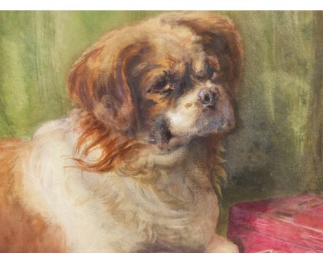19/20th.C.ENGLISH SCHOOL.    PORTRAIT OF A DOG, WATERCOLOUR.   37 x 56cms.