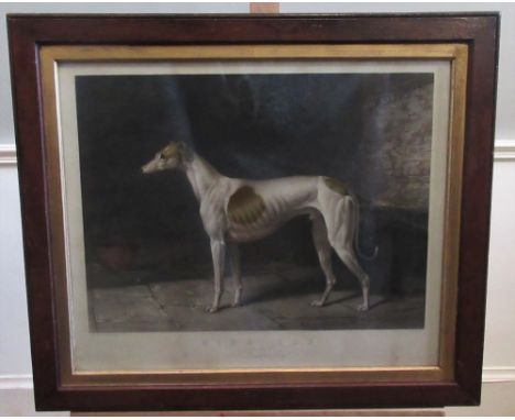 After W Barraud, "King Cob The Property of J L Daintree Esq." colour print engraved by W.T Davey, in oak frame with gilt slip