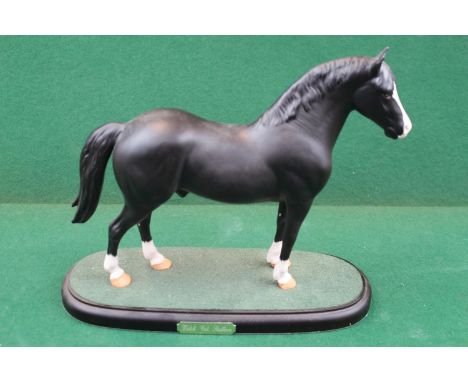 Beswick Connoisseur Welsh Cob Stallion, model No. A270, black matt, on wooden plinth 