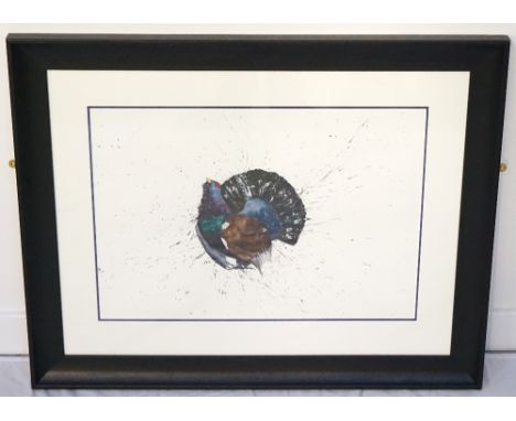 STUDY OF A CAPERCALLIE BY CLARE BROWNLOWan original watercolour using pheasant feathers, signed and framed, image size 41cm x