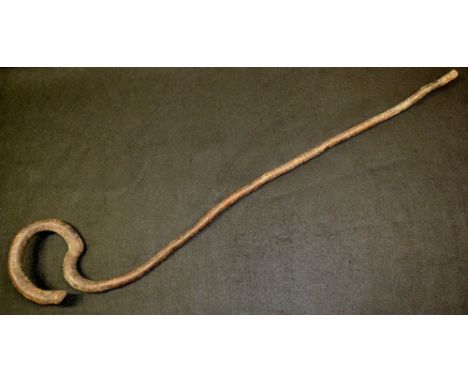Folk Art - a 19th century cherry wood gnarly walking stick, 103cm long 