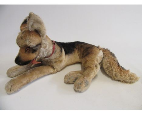 A large Steiff alsatian, 1960s, with amber eyes, open mouth, felt tongue, red leather collar and ear button, 24 1/2" long (Es