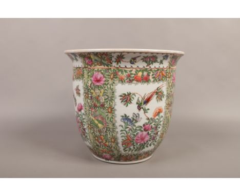 A Cantonese planter.