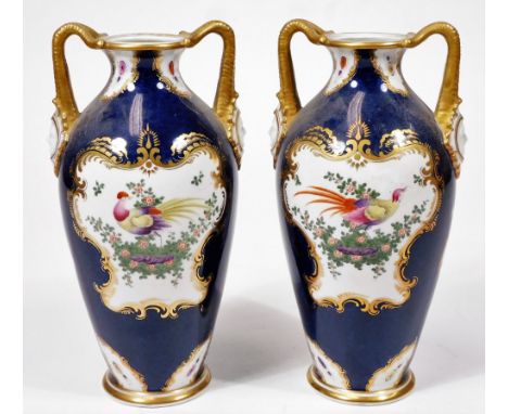 A pair of early 20thC Grainger &amp; Co Worcester porcelain exotic bird pattern vases, each decorated with panels of birds an