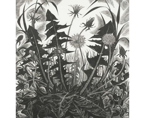 Φ Monica Poole RE (1921-2003) Dandelion Signed, inscribed and numbered Dandelion 47/75 Monica Poole (in pencil to margin) Woo