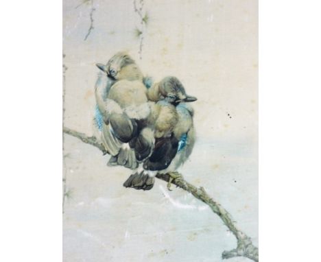 Early 20thC print on silk. Study of two fledgling jays on a branch, bears monogram, circa 1916, 20cm x 15cm.