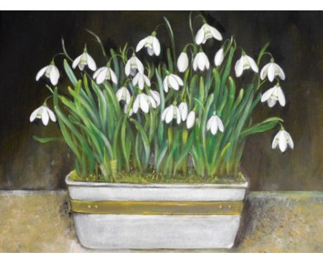 Contemporary English School. A study of snowdrops in a trough, oil on panel, indistinctly signed, 30cm x 31cm.