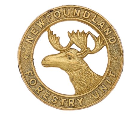 Newfoundland Forestry Unit WW2 cap badge.Die-stamped brass Caribou head in voided circlet “NEWFOUNDLAND FORESTRY UNIT”.  Loop