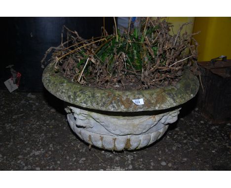 A large circular concrete planter with lion mask decoration, 27" diameter.