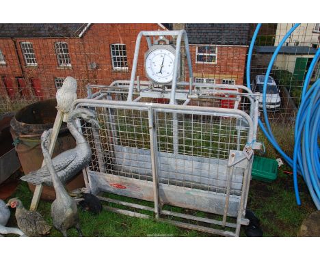 A "Ritchie" lamb weighing scales.