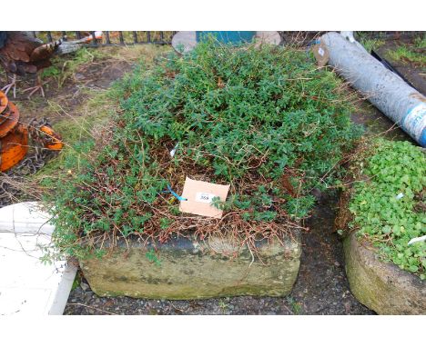 A stone pump trough/planter with a curved end, 22".