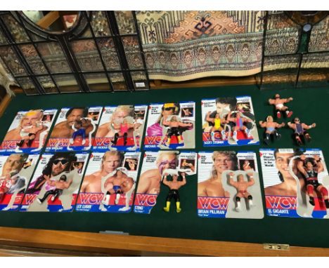 A Collection of 15 Vintage WCW Wrestling figures which includes Sting, Lex Luger, Scott Steiner and various other. Some still