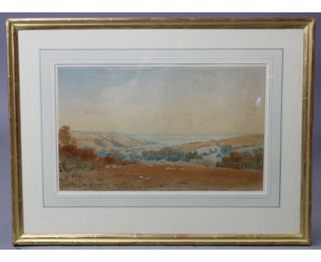 WILLIAM HENRY HASELER (early 19th century).  A coastal view at Dawlish; signed &amp; dated “H. Haseler 1817” lover right; wat