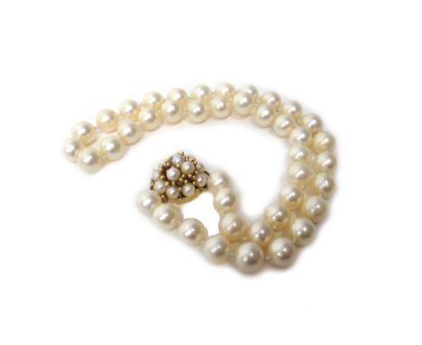 A single row necklace of forty-two cultured pearls, on a gold and cultured pearl cluster clasp and forty-six additional loose