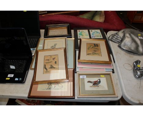 A watercolour study of a house sparrow with info verso painted by N Ronson from A Thorburn; a quantity of framed prints; two 