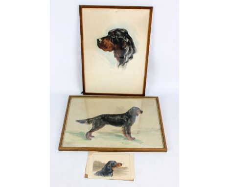 K INGLE; two watercolours, 'Show Ch. Dawn of Daven' standing setter and head of a setter, both signed and dated 1937 and 1938