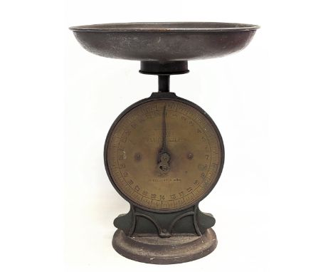 A set of vintage Salter Family Scales 