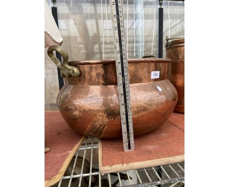 A LARGE VINTAGE COPPER BOWL PLANTER WITH TWIN HANDLES 