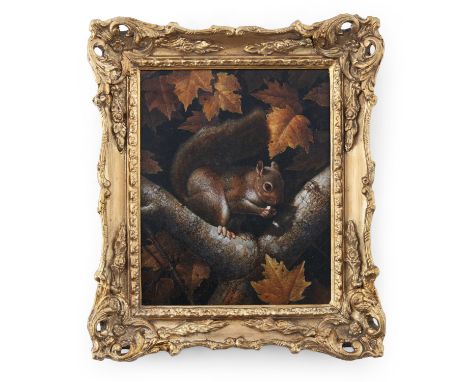 BRITISH SCHOOL (EARLY 20TH CENTURY)Red squirrel eating an acorn on a tree branchOil on panel, 25 x 20.25cm
