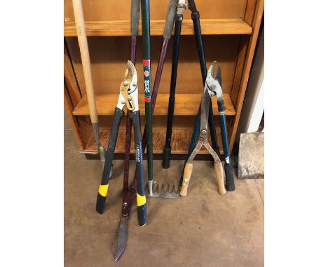 Collection of Garden tools