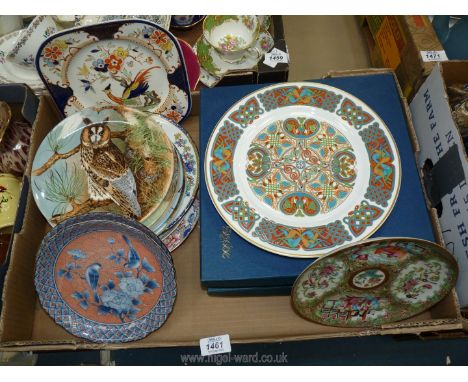 A quantity of cabinet plates including two blue and pink oriental plates, eight Coalport owl plates, Spode plate, two boxed L