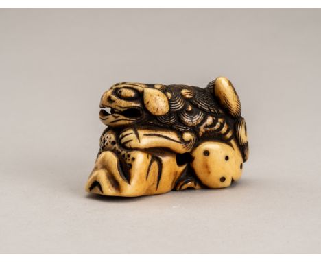 AN EARLY ANTLER NETSUKE OF A SHISHI ON A ROCK, 18th CENTURYJapan, 18th century, Edo period (1615-1868)Carved with the front l