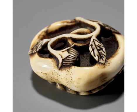 A FINE WALRUS TUSK NETSUKE OF A MUSHROOM WITH LOTUS AND GINKGOUnsignedJapan, Tokyo, Asakusa district, second half of 19th cen