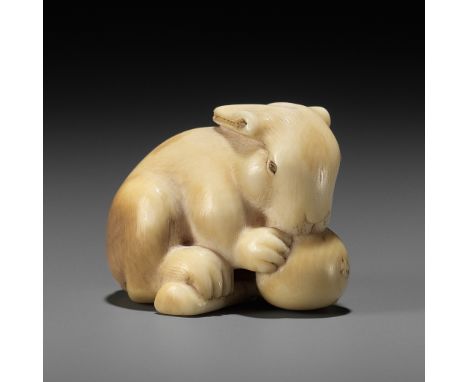 IKKO: A FINE IVORY NETSUKE OF A RABBIT EATING A LOQUATBy Ikko, signed Ikko 一光Japan, probably Kyoto, early 19th century, Edo p