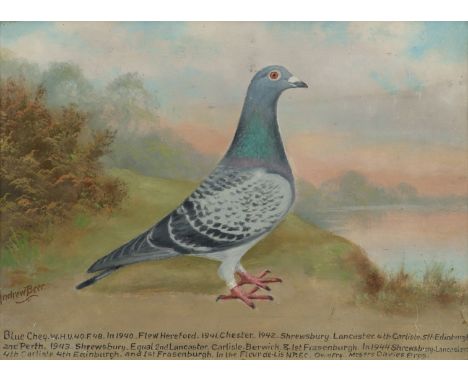 ‡ Andrew Beer (1862-1954) Portrait of a Blue Cheq racing pigeon; Portrait of a Dark Cheq racing pigeon A pair, both signed an