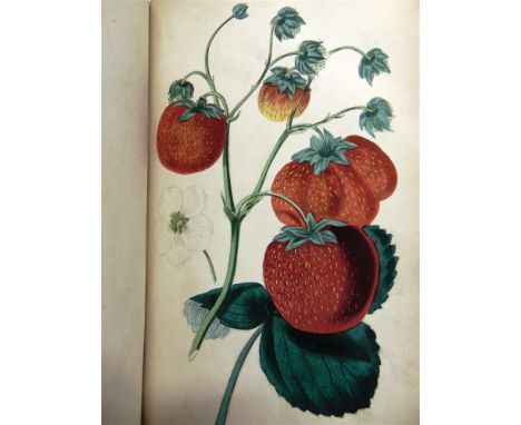 [NATURAL HISTORY]. HORTICULTURE  McIntosh, Charles. The New and Improved Practical Gardener, and Modern Horticulturist, Kelly