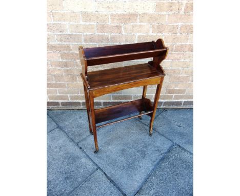 AN EDWARDIAN MAHOGANY BOOKSTAND  on ceramic casters, 54cm wide 23cm deep 84cm high