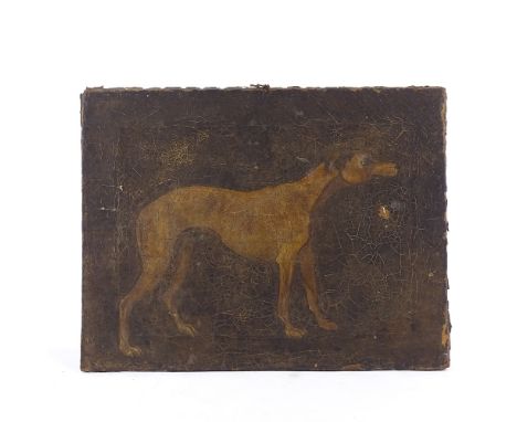 19th century oil on canvas, portrait of a Greyhound, unsigned, 20" x 25", unframed for restoration 
