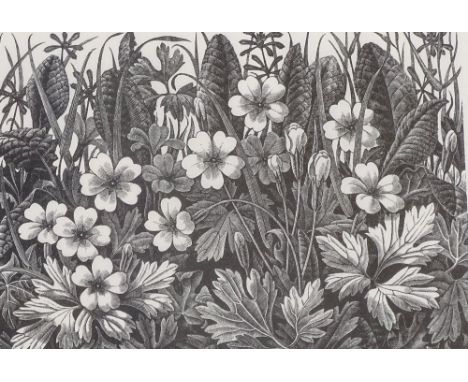 Monica Poole, woodblock print, herbage, signed in pencil, image 5" x 7", framed 