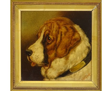 Eastrop, oil on board, portrait of a St Bernard dog, signed, 9" x 8.5", framedVery good original condition, paint all stable,