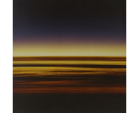 Rob Carter, limited edition print, Travelling Still, Coral Reef II, 2005, no. 5?/12, image 24" x 24", certificate of authenti