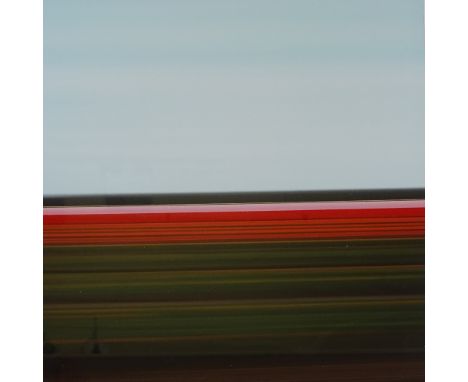 Rob Carter, limited edition print, Travelling Still, Tulip Fields Holland VIII, 2004, no. 5/12, image 24" x 24", certificate 