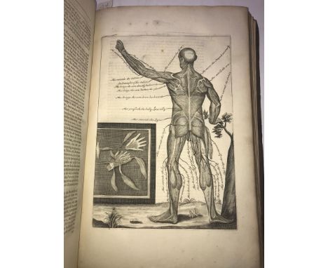 Anatomy.A Treatise of Diseases of the Head, Brain and Nerves...., 6th edition, London 1738, 8vo, 74pp. some old ink scribble 