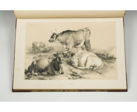COOPER (Thomas Sidney)Groups of Cattle Drawn From Nature. Ackermann 1839, large folio, lithographic title and 25 plates, vari