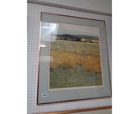 Framed Limited Edition print entitled ‘Burnt Moor’ by Phil Greenwood dated 1979 1 of 250, 52cm x 44cm Condition - Good Overal