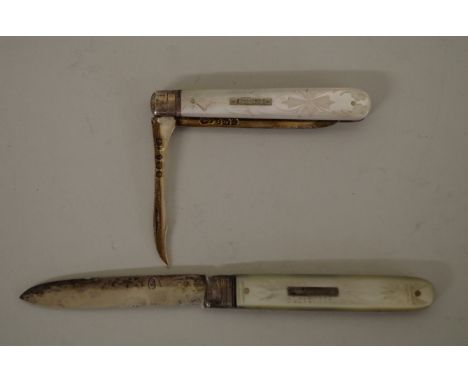 Two silver bladed fruit knives, having decorated mother of pearl handles. 