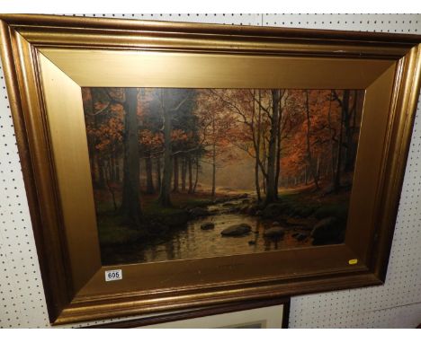 Framed Print - Autumn Gold 