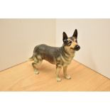 A Goebel German Shepherd, stands at 23cm tall.