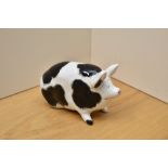 A Wemyss Ware small black and white pig, measures 10cm tall and 15cm long.