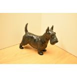 A Royal Doulton Scottish Terrier study HN 1008, gloss finish with 'Albourne Arthur' stamped to