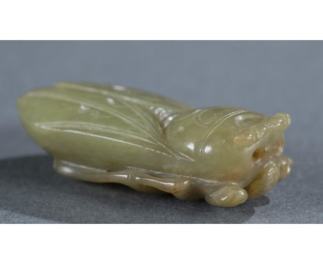 A Small Chinese green jade cicada pendant. Green jade with brown inclusions carved in high and low relief. 1 7/8" x 1" x 1/2"