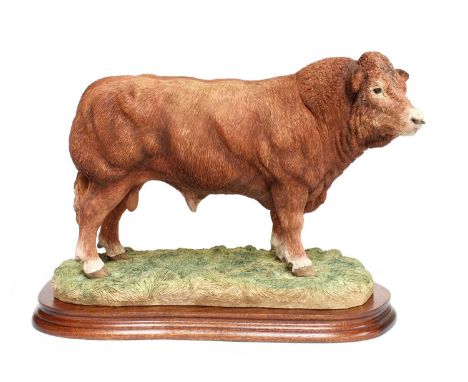 Border Fine Arts 'Limousin Bull' (Style Two), model No. B0531, by Jack Crewdson, limited edition 459/750, on woode base, with