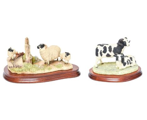 Border Fine Arts 'Pair of Jacob Sheep' (Two-Horned), model No. B0367 by Ray Ayres, limited edition 191/750, on wood base, wit